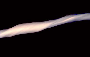 Andres Serrano. Untitled XIV (ejaculation in trajectory)