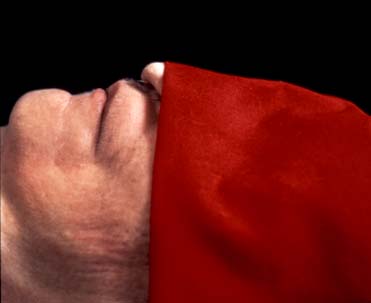 Andres Serrano. The Morgue (infectuous pneumonia)