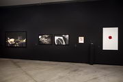 Sala 3. Obras de Carlos Alonso, Claudia Andujar, Cildo Meireles y Waldemar Cordeiro