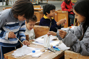 Education - Weekend Family Workshops: Last days