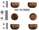 inv_10-76596