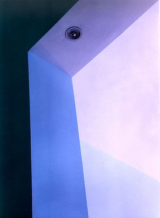 Dan Flavin