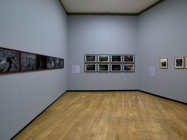Gallery 4