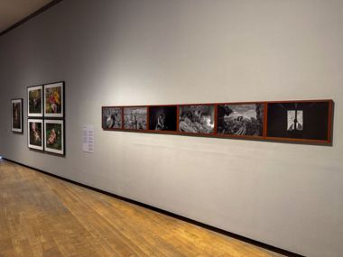 Gallery 4
