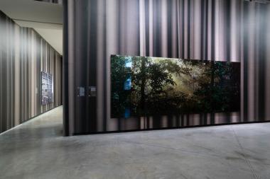 Sala 2