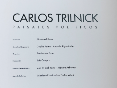 Sala 4. Carlos Trilnick. 