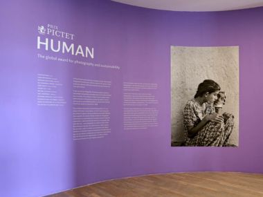 Gallery 4
