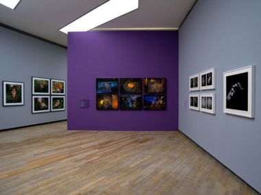Gallery 4
