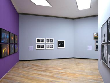 Gallery 4