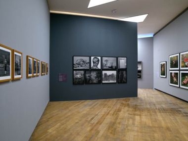 Gallery 4