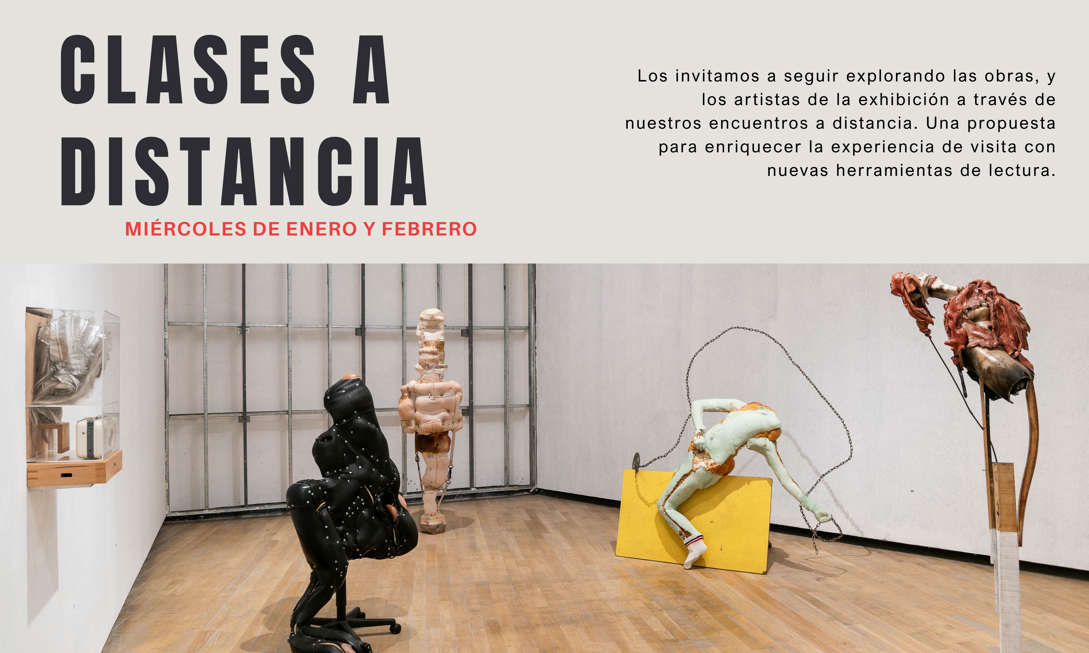 Clases a distancia eoim