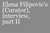 Entrevista a Elena Filipovic (curadora), parte II