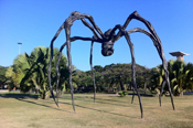 Louise Bourgeois's exhibition at the Museum of Modern Art, Rio de Janeiro